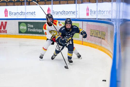 Brynäs Jenniina Nylund och HV71s Kennedy Bobyck