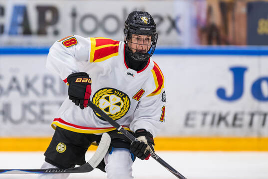 Brynäs Jenniina Nylund