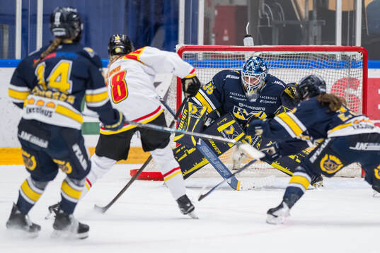 HV71s målvakt Stephanie Neatby