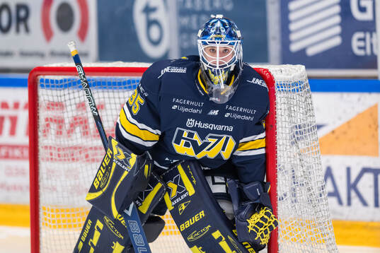 HV71s målvakt Stephanie Neatby