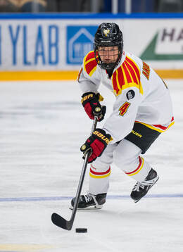 Under ishockeymatchen i SDHL mellan HV71 och Brynäs
