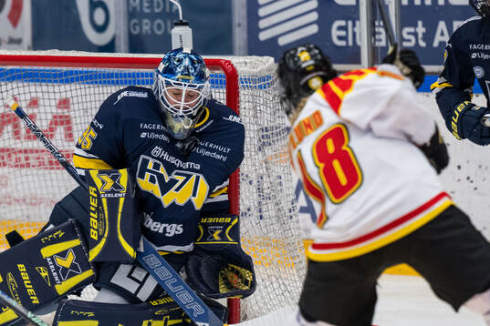 HV71s målvakt Stephanie Neatby
