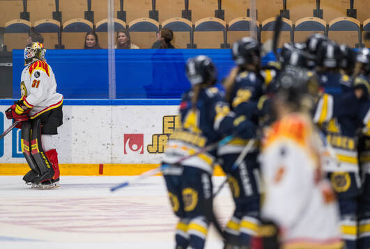 Brynäs målvakt Ena Nystrøm deppar