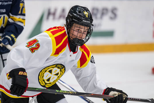 Brynäs Viivi Vainikka