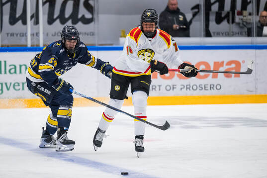 HV71s Adriana Van De Leest och Brynäs Jenniina Nylund
