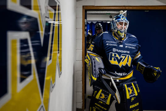 HV71s målvakt Stephanie Neatby