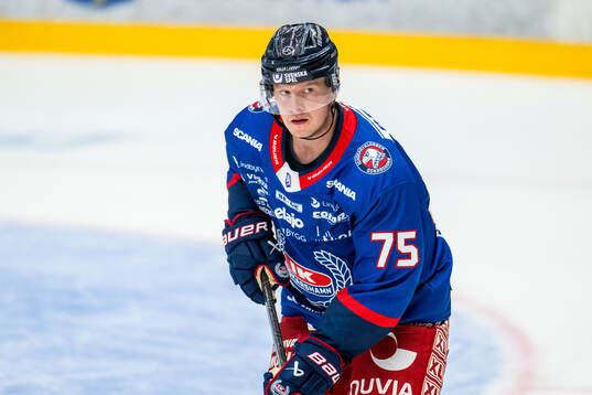 Oskarshamns Teemu Olavi Lepaus