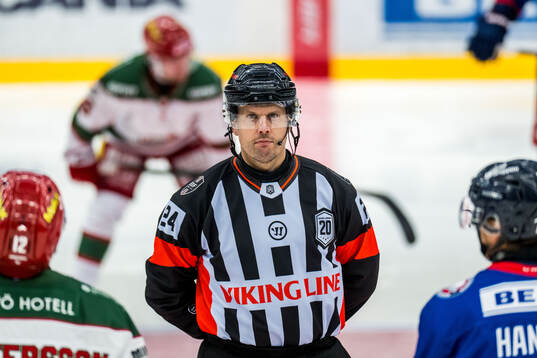 Domare Johan Magnusson
