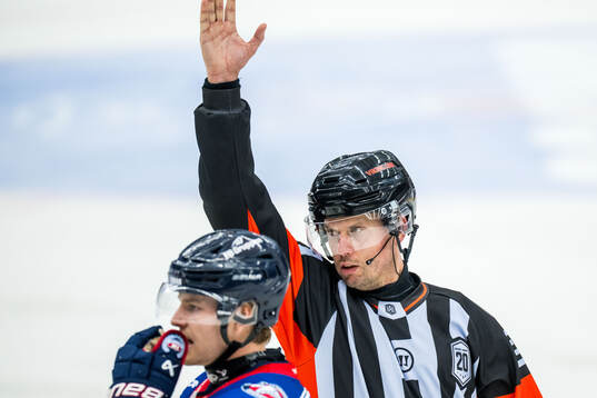 Domare Johan Magnusson