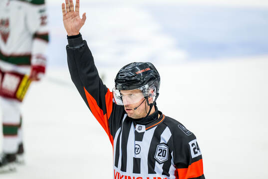 Domare Johan Magnusson