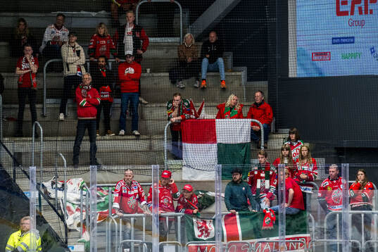 Modos supportrar deppar
