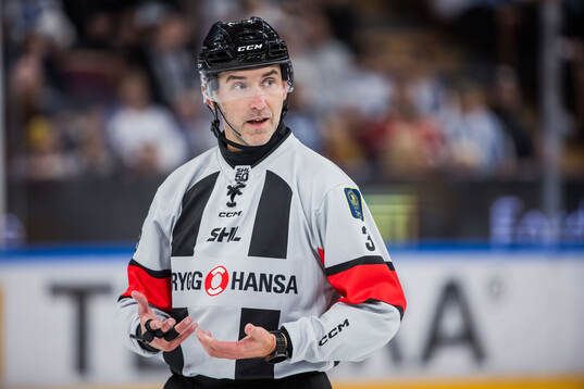 Domare Linus Öhlund