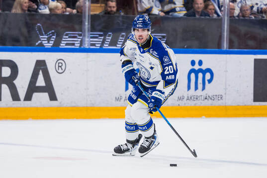 Leksands Nolan Stevens