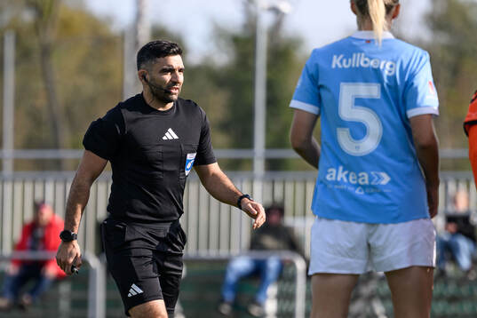 Domare George Jansizian