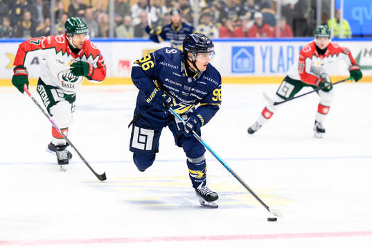 HV71s Nikola Pasic