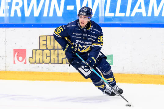 HV71s Nikola Pasic