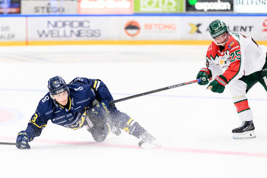 HV71s Lucas Lagerberg och Frölundas Arttu Ruotsalainen