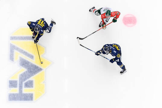 HV71s Aleksi Heponiemi, Jonathan Ang och Frölundas Max