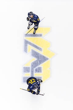 HV71s Jonathan Ang och Linus Lindström