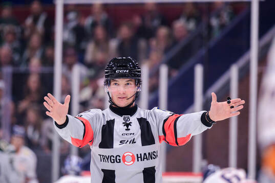 Domare Alexander Österberg