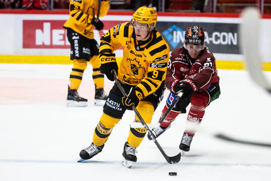 Skellefteås Victor Stjernborg och Örebros Patrik Puistola