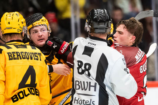 Skellefteås Oliver Okuliar och Örebros Glenn Gustafsson