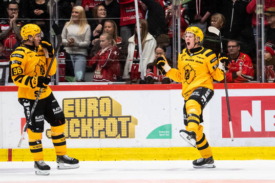 Skellefteås Pontus Johansson jublar med Rickard Hugg