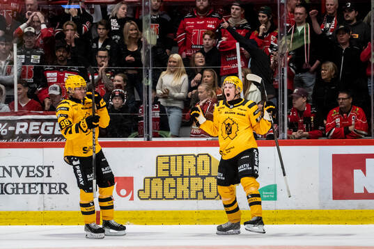 Skellefteås Pontus Johansson jublar vid 0-1