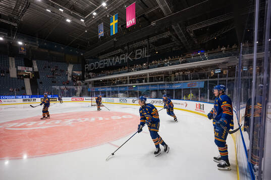 Djurgårdens spelare