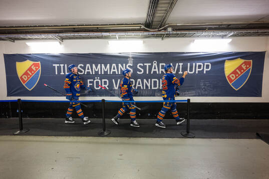 Djurgårdens spelare