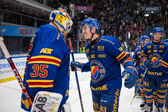Djurgårdens målvakt Magnus Hellberg jublar med Anton
