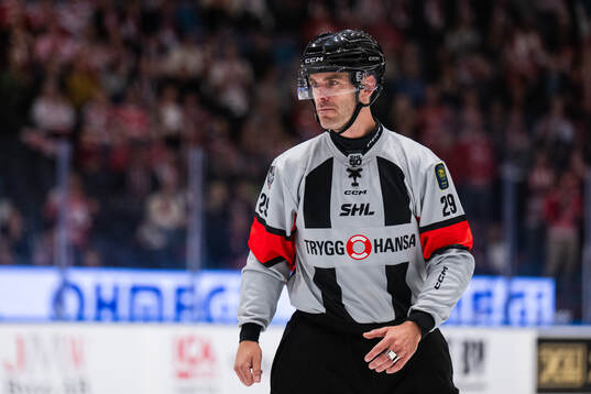 Domare Richard Magnusson