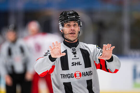 Domare Richard Magnusson