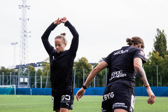 Häckens Aivi Luik