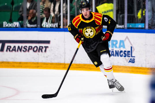 Brynäs Lucas Pettersson