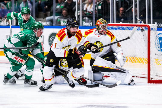 Brynäs Michal Kempny