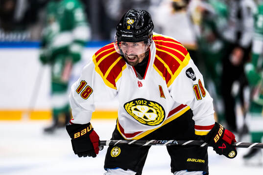 Brynäs Anton Rödin