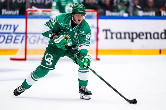 Under ishockeymatchen i SHL mellan Rögle och Brynäs