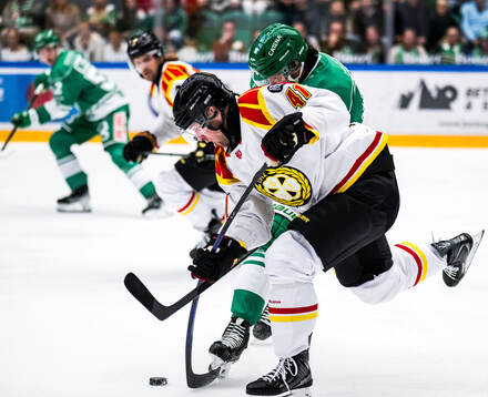 Brynäs Greg Scott och Rögles Dennis Everberg