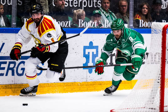 Brynäs Michal Kempny och Rögles Linus Sandin