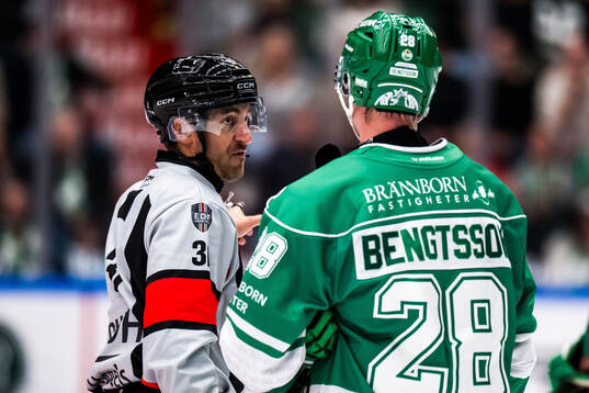 Domare Mattias Enroth