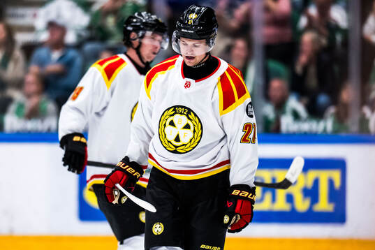 Brynäs Mattias Norlinder deppar