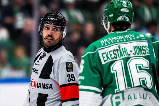 Domare Mattias Enroth