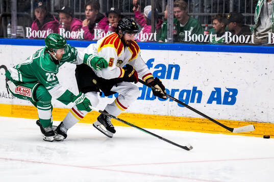 Rögles Linus Sjödin och Brynäs Michal Kempny