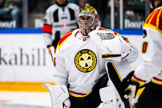 Brynäs målvakt Damian Clara