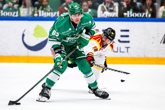 Rögles Lubos Horky och Brynäs Anton Rödin