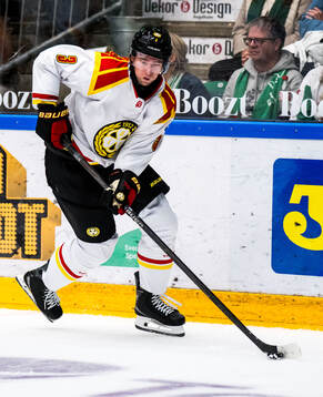 Brynäs Christian Djoos