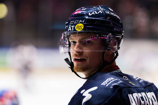 Linköpings Adam Hofbauer