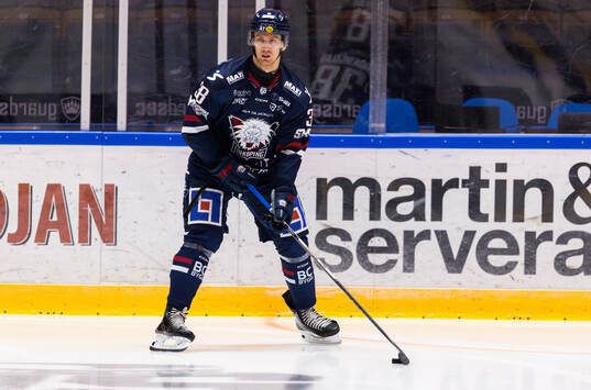 Linköpings Johan Södergran