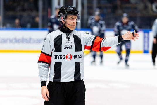 Domare Mikael Holm